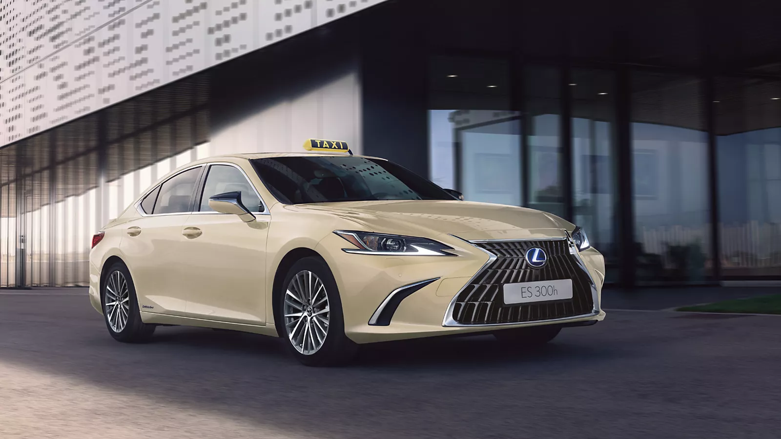 Lexus ES 300h Taxi in Hellelfenbein